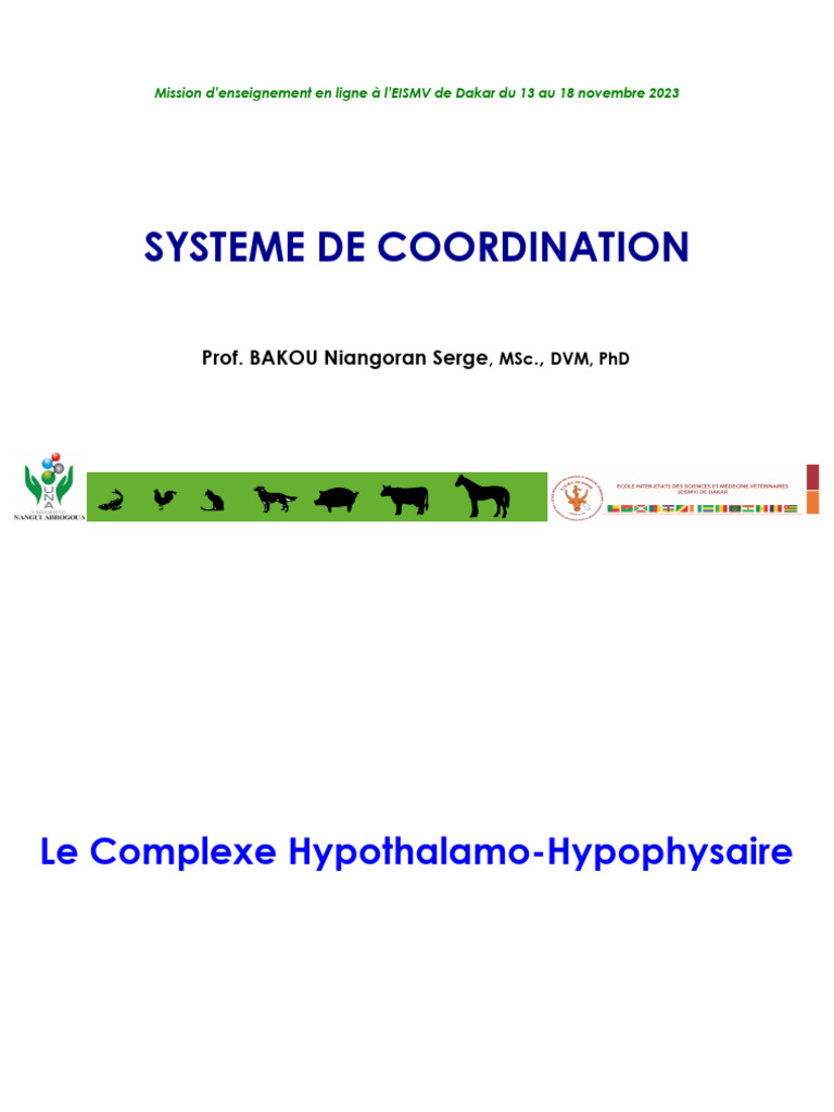 Anatomie du complexe hypothalamo-hypophysaire | PDF | Hypophyse ...