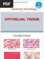 Epithelial Tissues Lab Manual | PDF | Epithelium | Anatomy