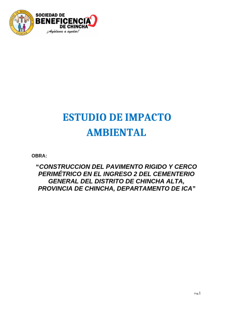 Estudio de Impacto Ambiental en Chincha | PDF | Evaluación de impacto ...