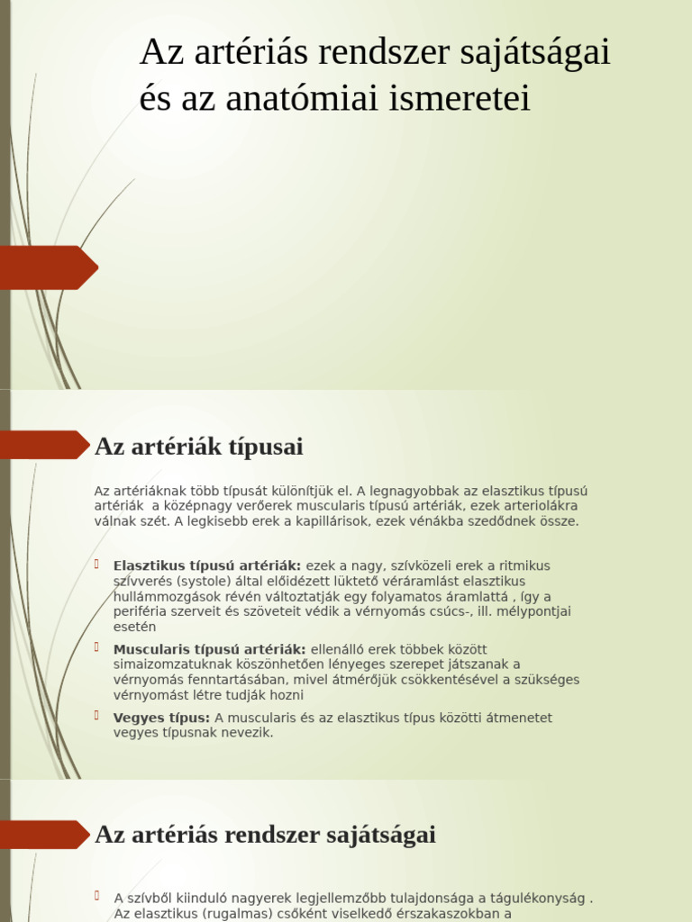 Az Artériás Rendszer Sajátságai És Az Anatómiai Ismeretei | PDF