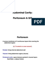 Abdominal Cavity 1 E-Learning