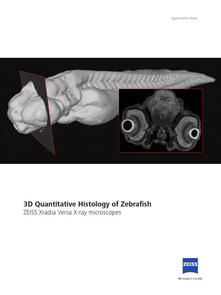 EN WP 3D-Quantitative-Histology Xradia-Versa | PDF | Microscope ...