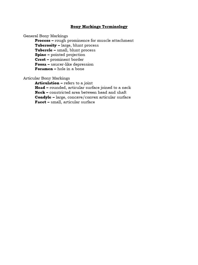 Bony Markings and Terminology Guide | PDF