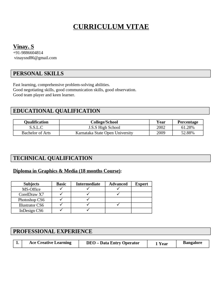 Vinay S: Data Entry & Design CV | PDF