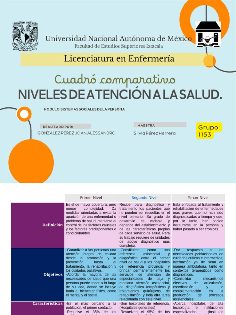 Niveles de Atención en Salud | PDF | Hospital | Enfermedades y trastornos