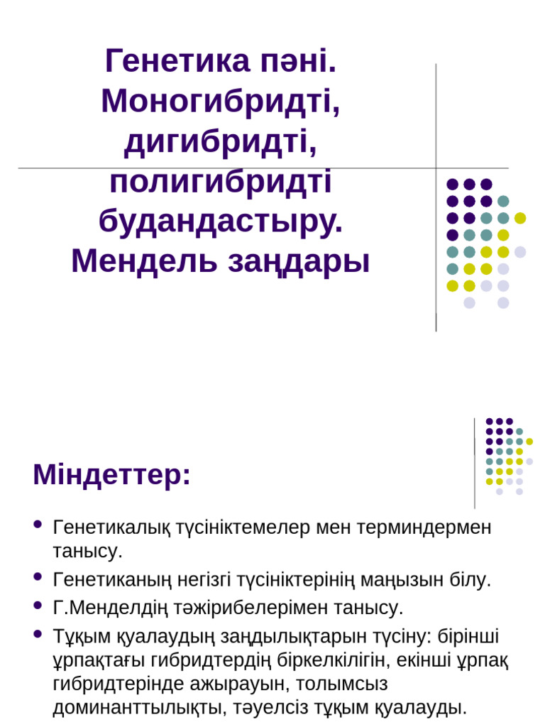 Порно дилдо анус