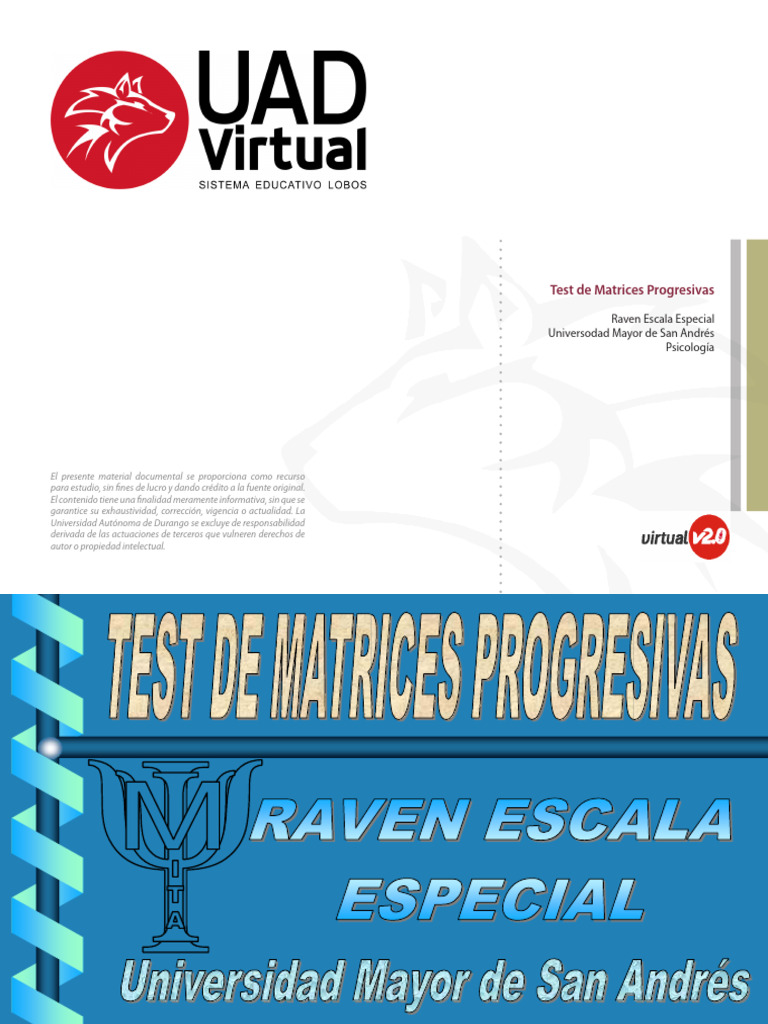 Test de Matrices Progresivas Raven | PDF