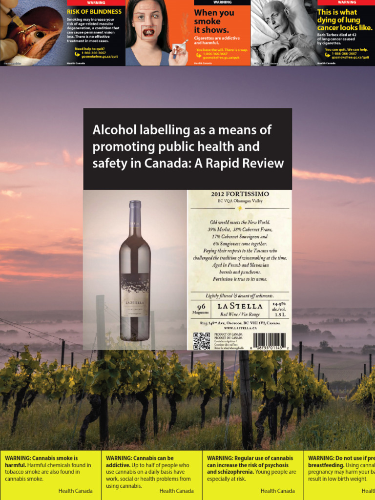 Alcohol Labelling for Public Health in Canada | PDF | Alcoholic ...