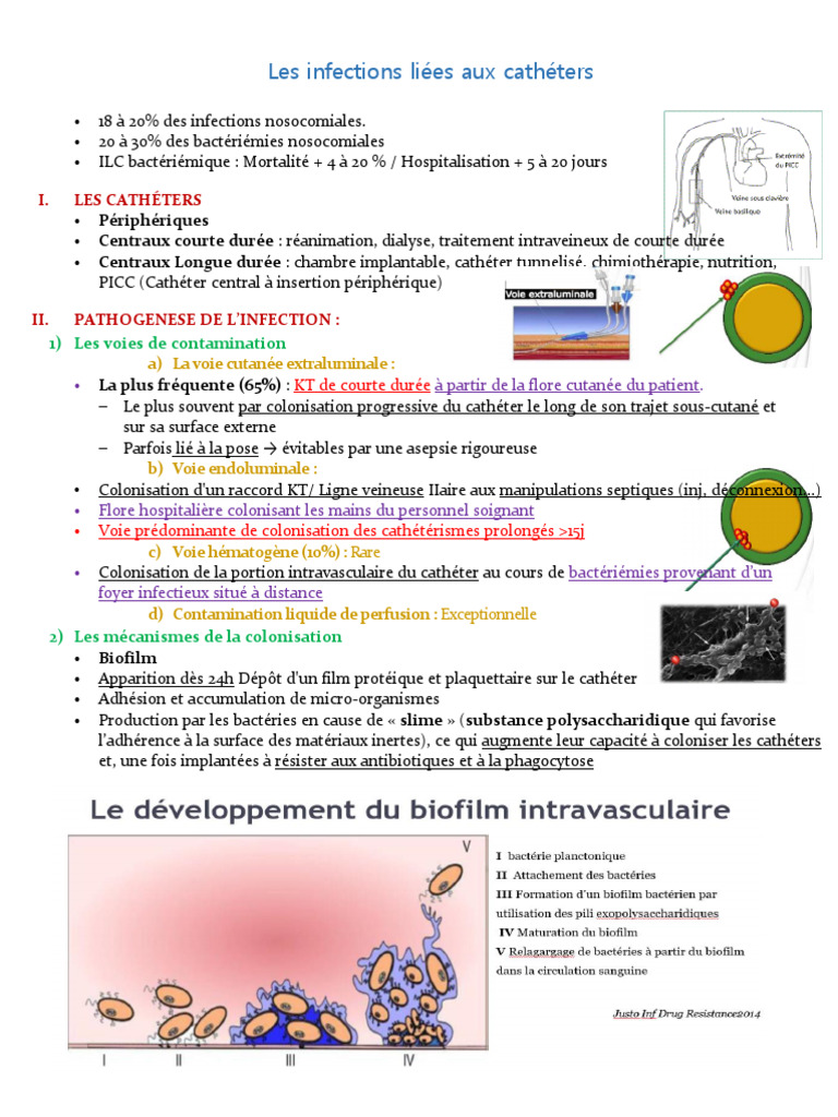 Infections liées aux cathéters : enjeux et diagnostics | PDF ...