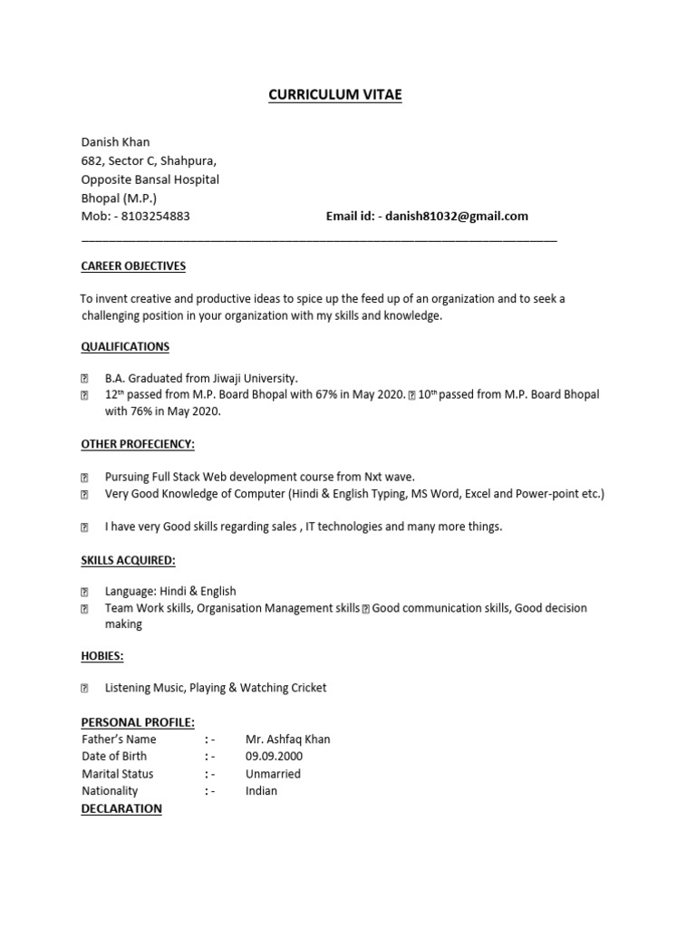 Danish Khan's Professional CV | PDF