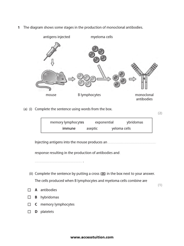 Immune-Systems-QP | PDF | Antibody | Monoclonal Antibody