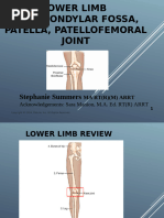 Advanced Radiographic Positions For The Lower Extremities: by Prof ...