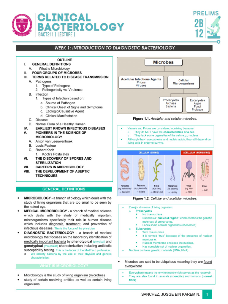 Introduction to Diagnostic Bacteriology | PDF | Infection | Taxonomy ...