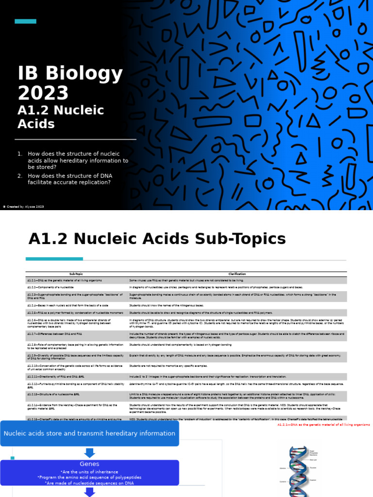 Understanding Nucleic Acids in Biology | PDF | Nucleotides | Dna