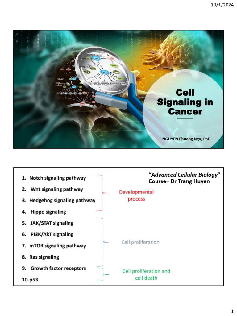 Cancer Cell Signaling Pathways Explained | PDF | Protein Kinase B ...