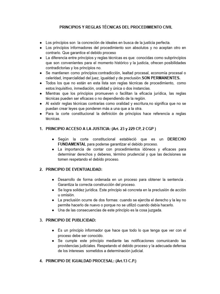 Principios y Reglas Técnicas Del Procedimiento Civil PDF | PDF | Debido ...