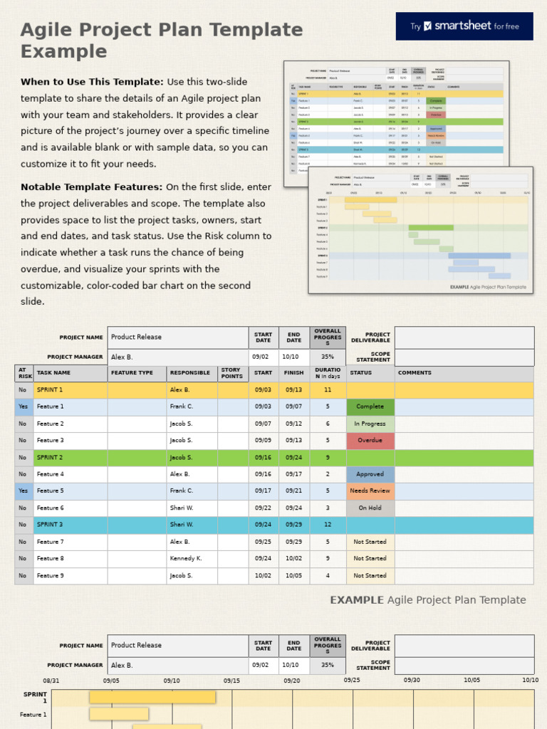 IC Agile Project Plan Template Example - PowerPoint - 12057 | PDF ...