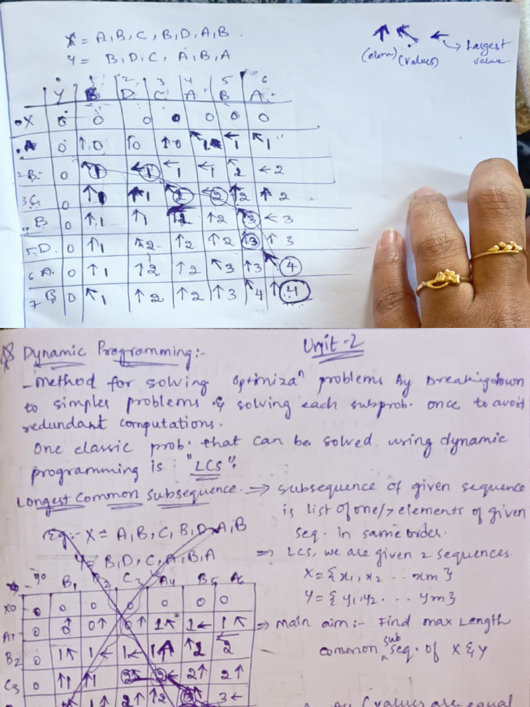 Dynamic Programming and Sorting Algorithms | PDF