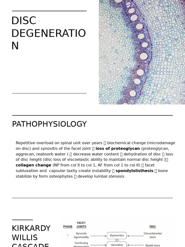 Disc Degeneration Pathophysiology Explained | PDF | Clinical Medicine ...