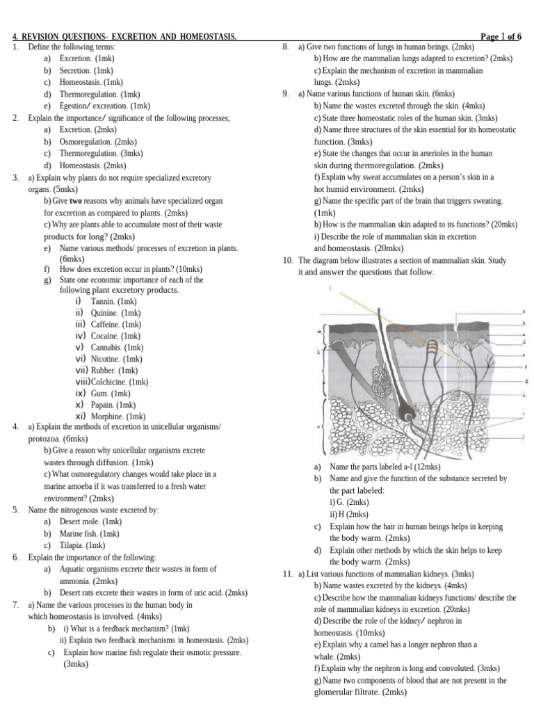 BIOOGY TOPICAL QUIZ EXCREATION | PDF | Kidney | Homeostasis