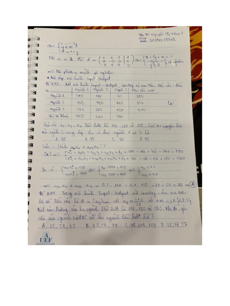 Bài Tập Mô Hình Input-Output | PDF