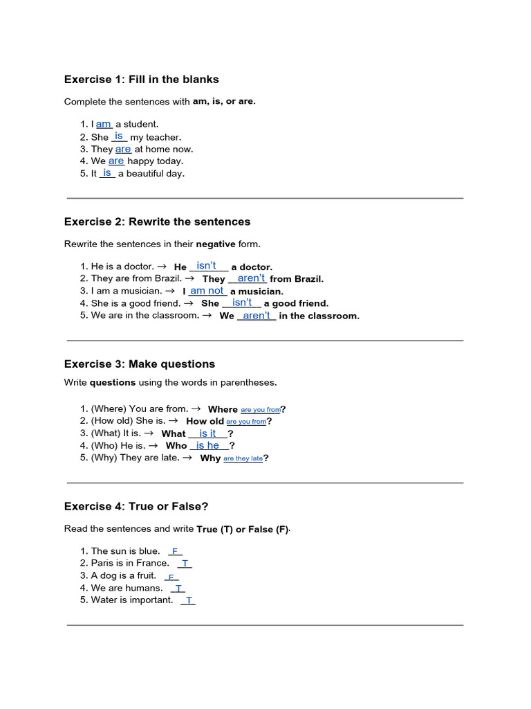 English Grammar Exercises for Beginners | PDF