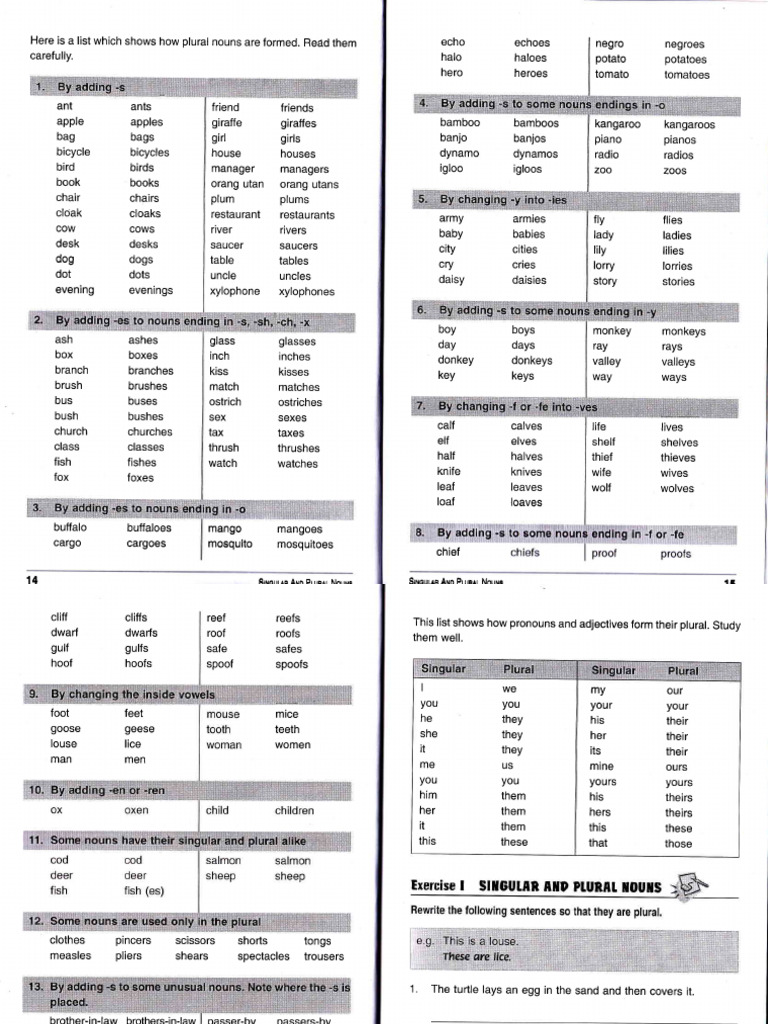 Plural Noun Formation Guide | PDF | Plural | Linguistic Morphology