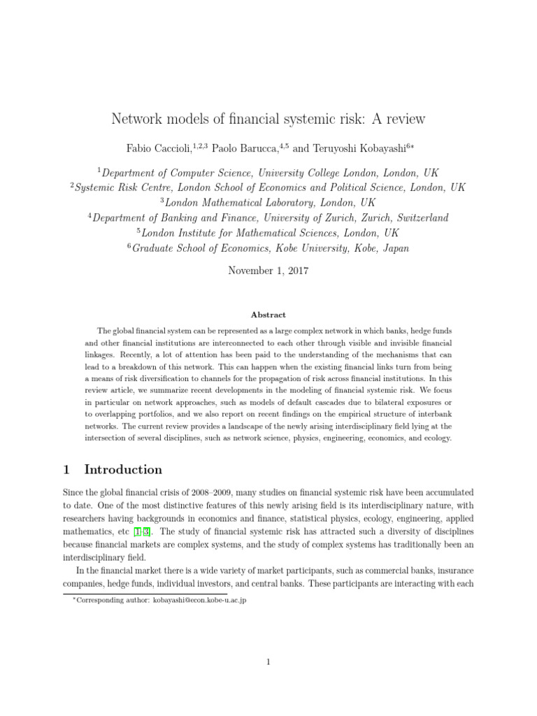 Financial Systemic Risk: Network Models Review | PDF | Systemic Risk ...