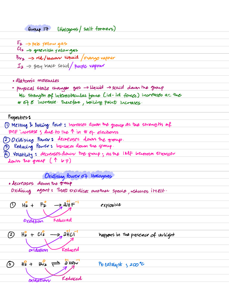 Group 17 Notes | PDF