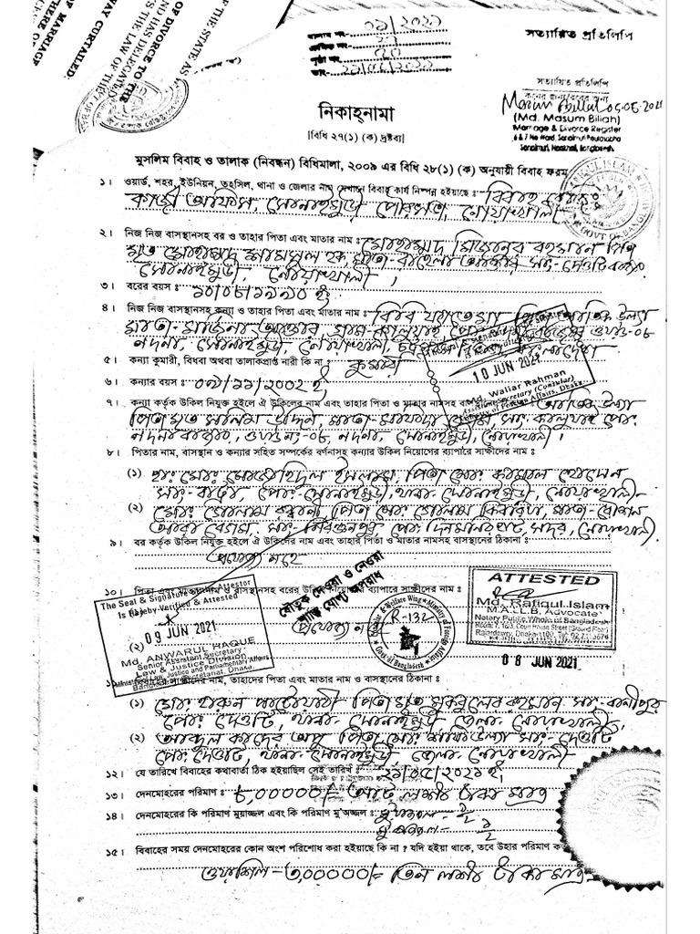 New Document (1) Ok | PDF