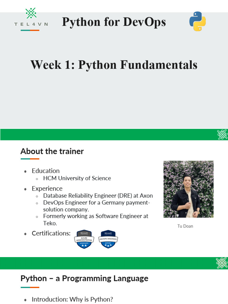 01_python_fundamentals | PDF | Function (Mathematics) | Python ...