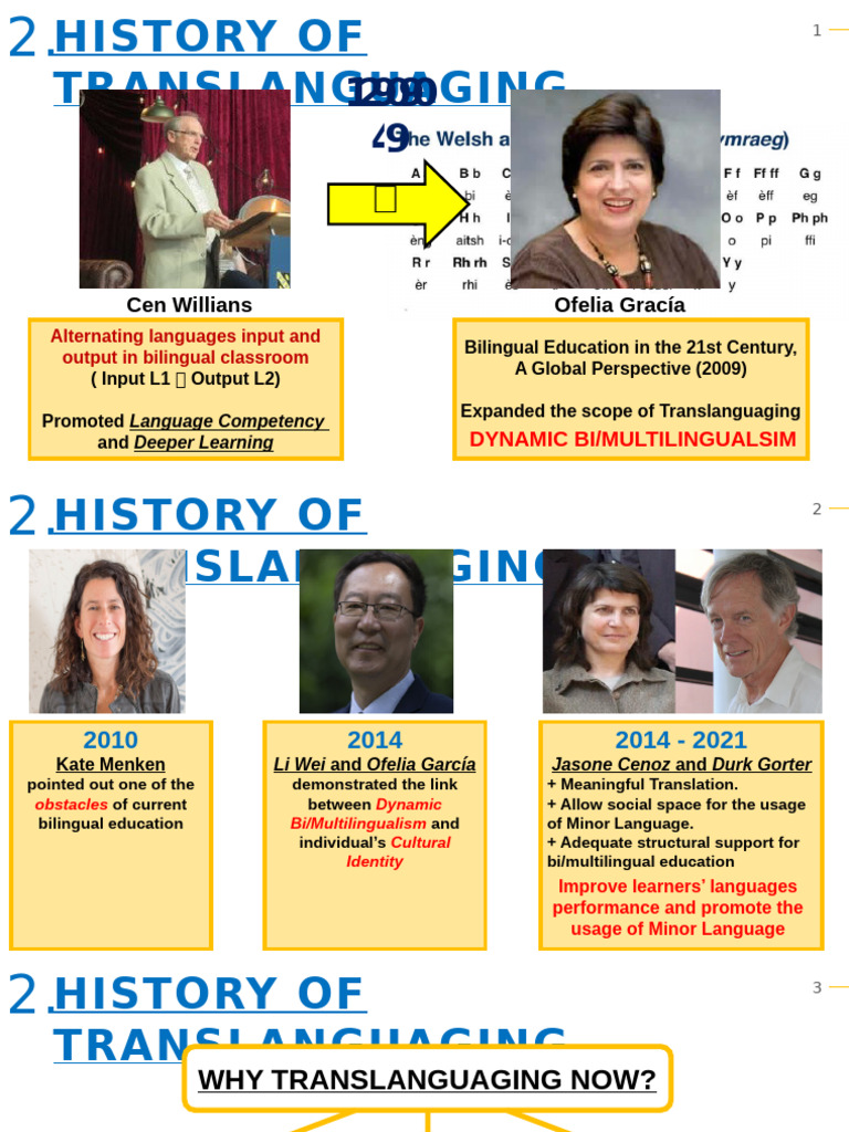 History of Translanguaging | PDF
