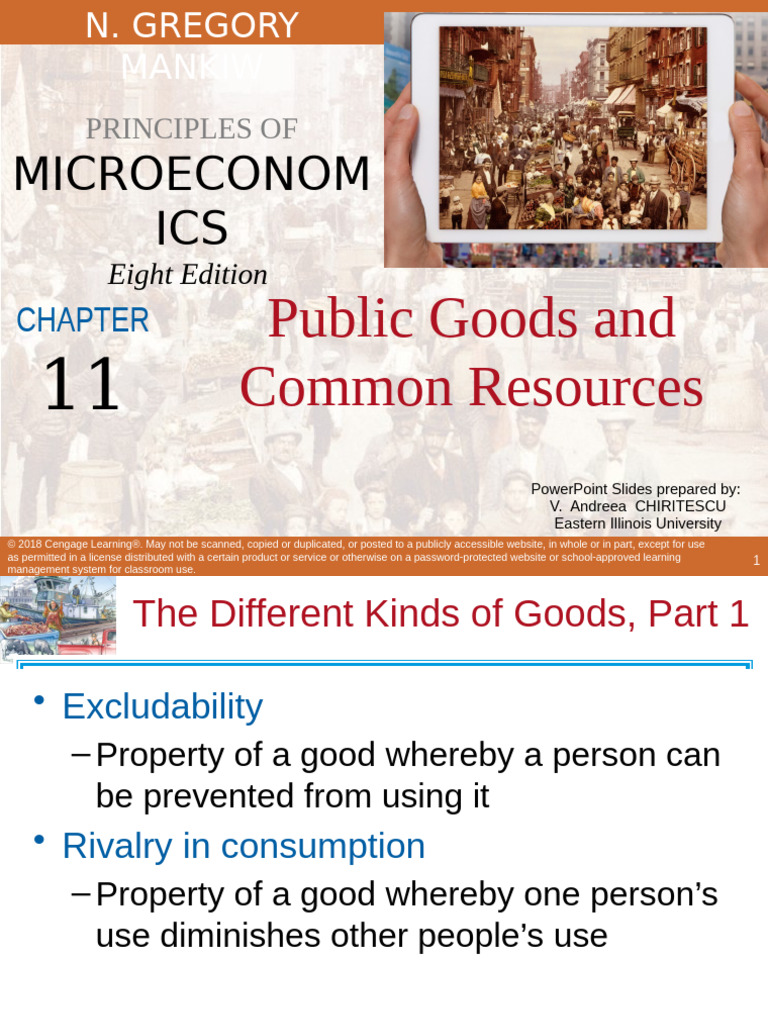 Public Goods and Common Resources Explained | PDF | Supplemental ...