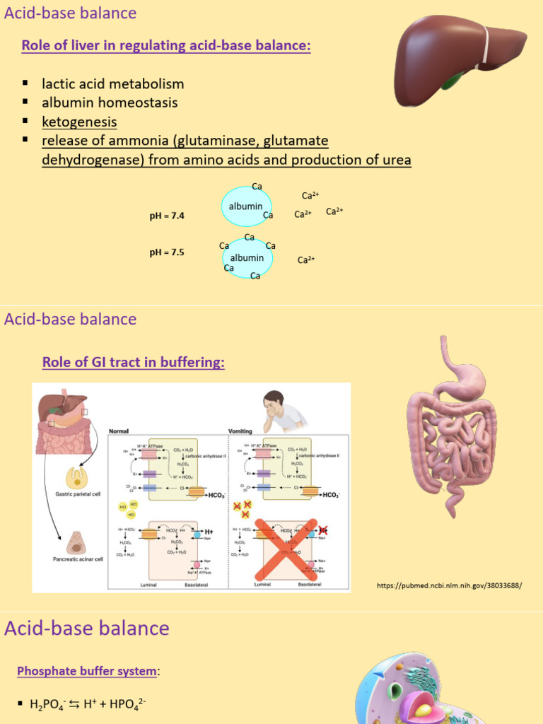 Acid Base Balance - Supplementary 1 | PDF