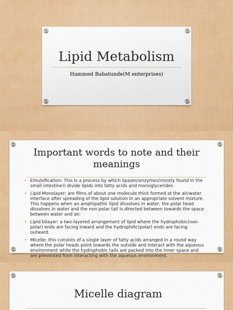 Understanding Lipid Metabolism Processes | PDF | Lipid | Mitochondrion