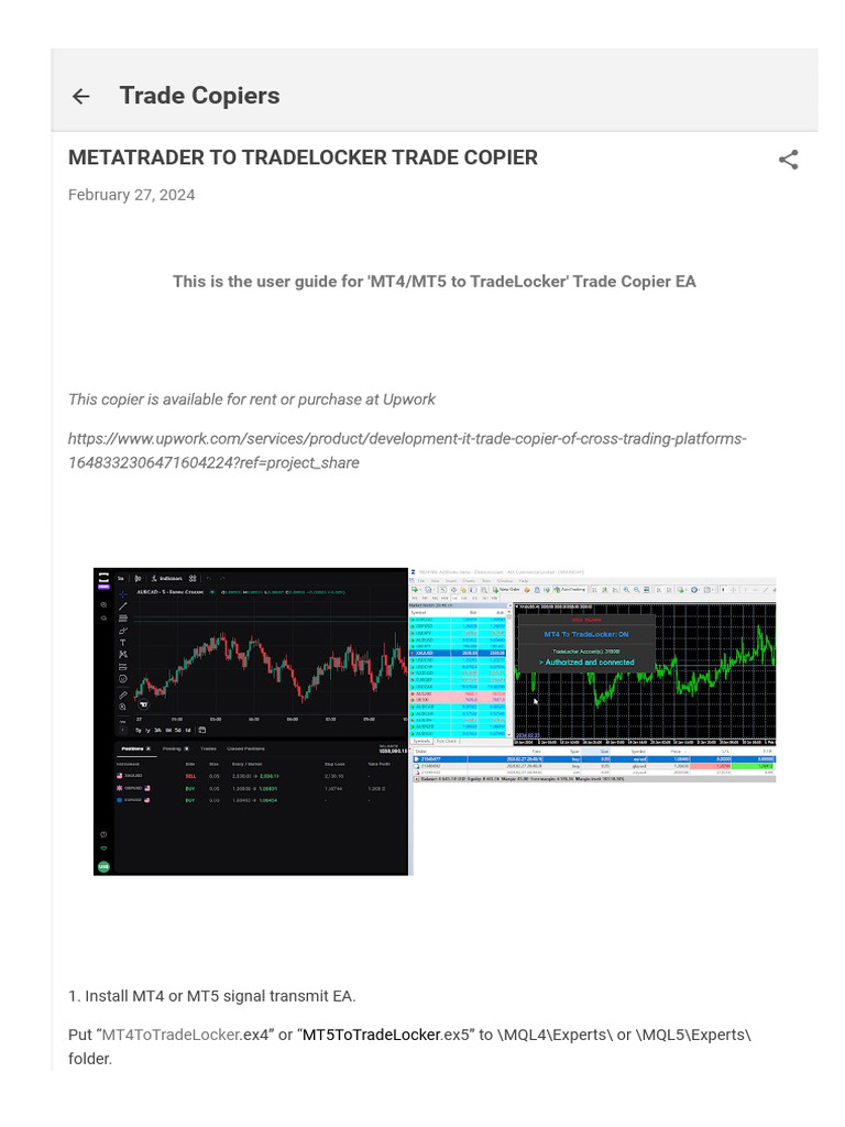 User Guide Metatrader Tradelocker Trade Copier | PDF | Gold As An  Investment | Computing