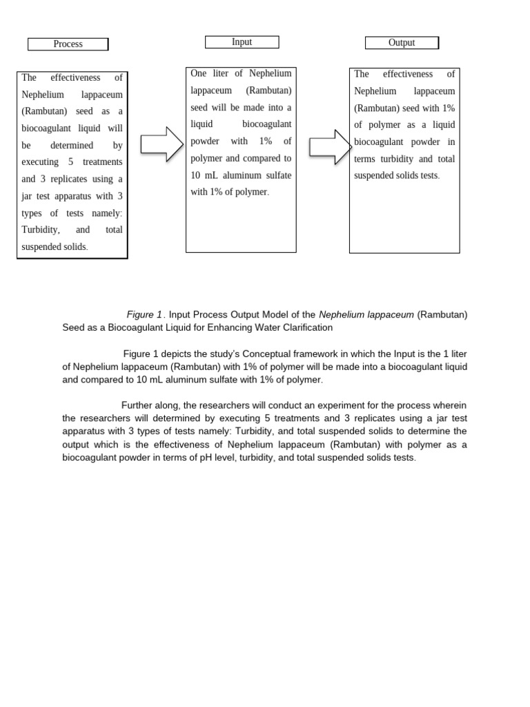 Conceptual Framework | PDF