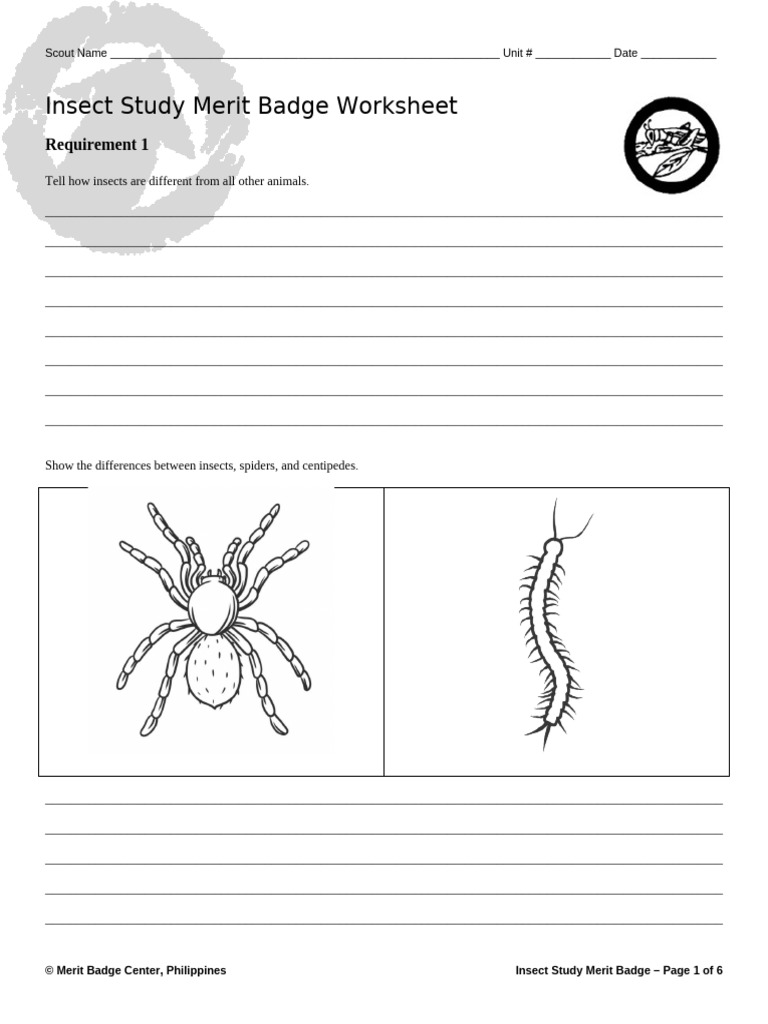 Insect Study Merit Badge Worksheet | PDF | Butterfly | Insects