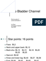 2-The Bladder Channel