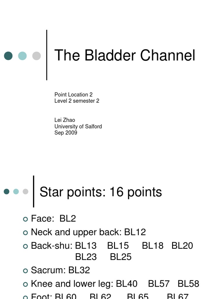 Bladder Channel Acupuncture Points Guide | PDF | Foot | Human Leg
