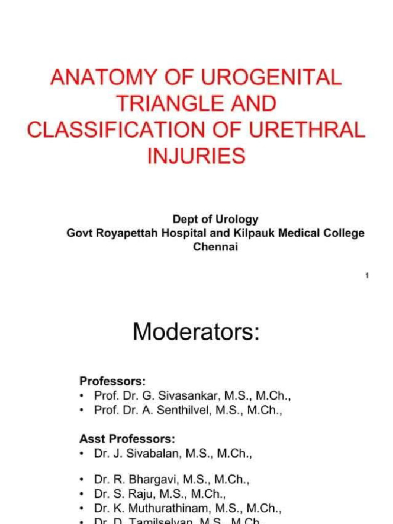 Urogenital Triangle | PDF