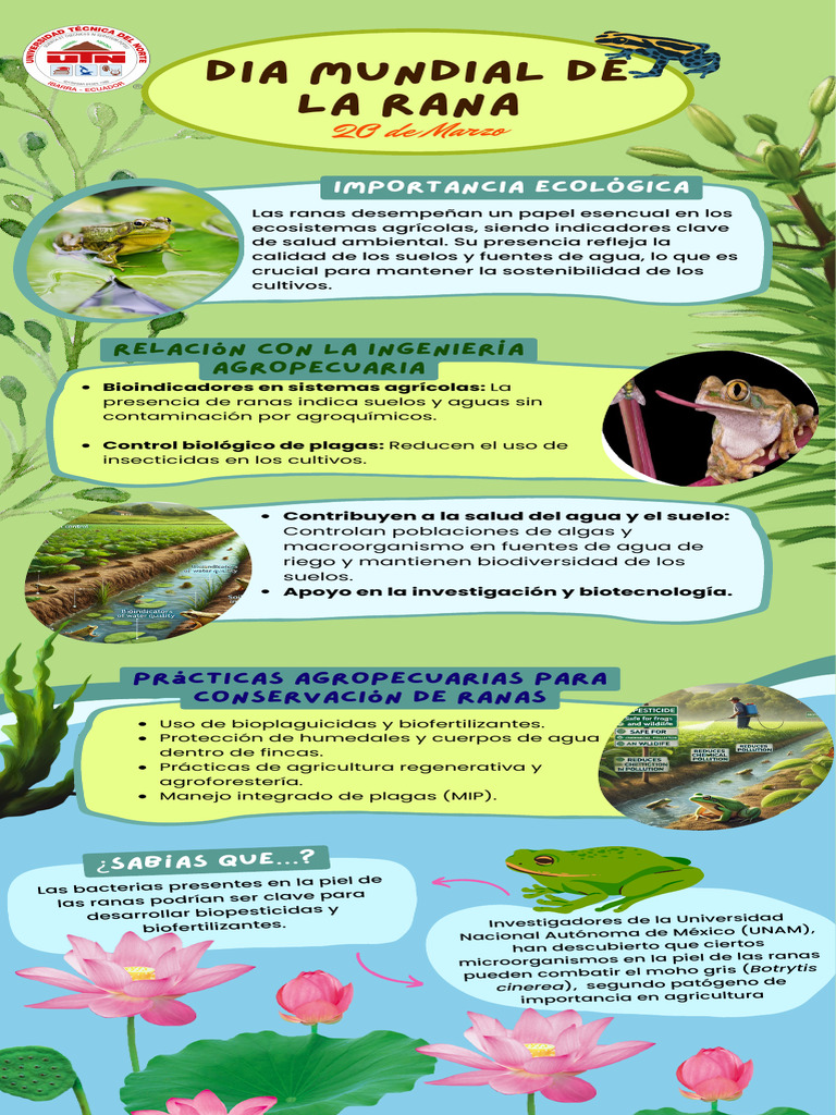 Día Mundial de la Rana: Conservación y Agroecología | PDF | Agua ...