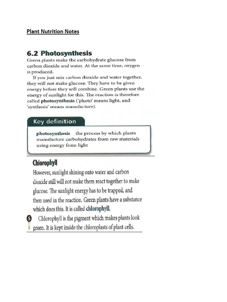 Plant Nutrition Notes | PDF