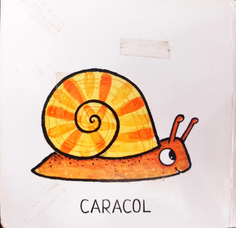 Caracaol Naturales | PDF