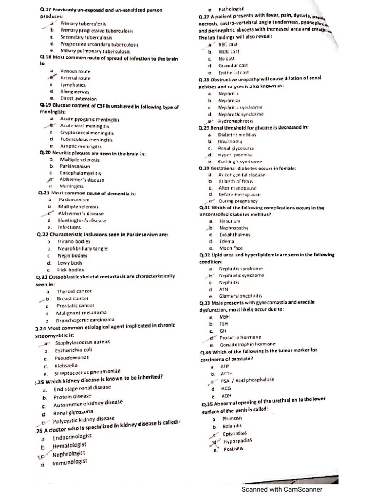 Batch 46 Pre Proff | PDF