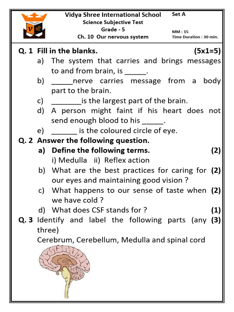 GRADE 5 SCIENCE EXAM PDF visual data 8