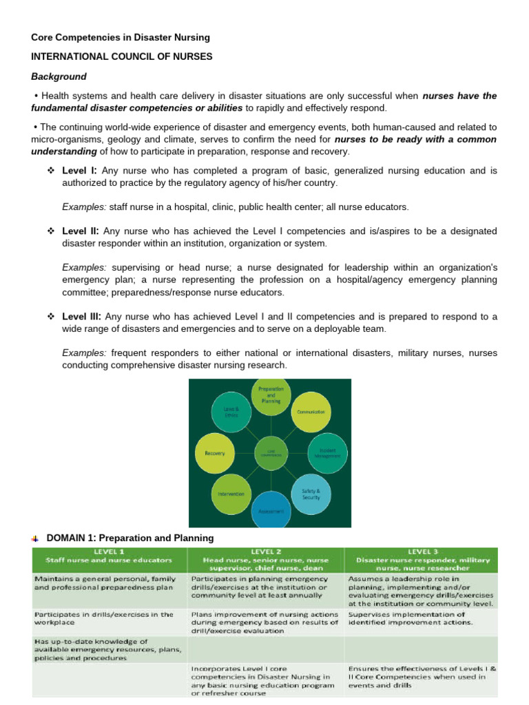Safety and Security in Disaster Nursing | PDF