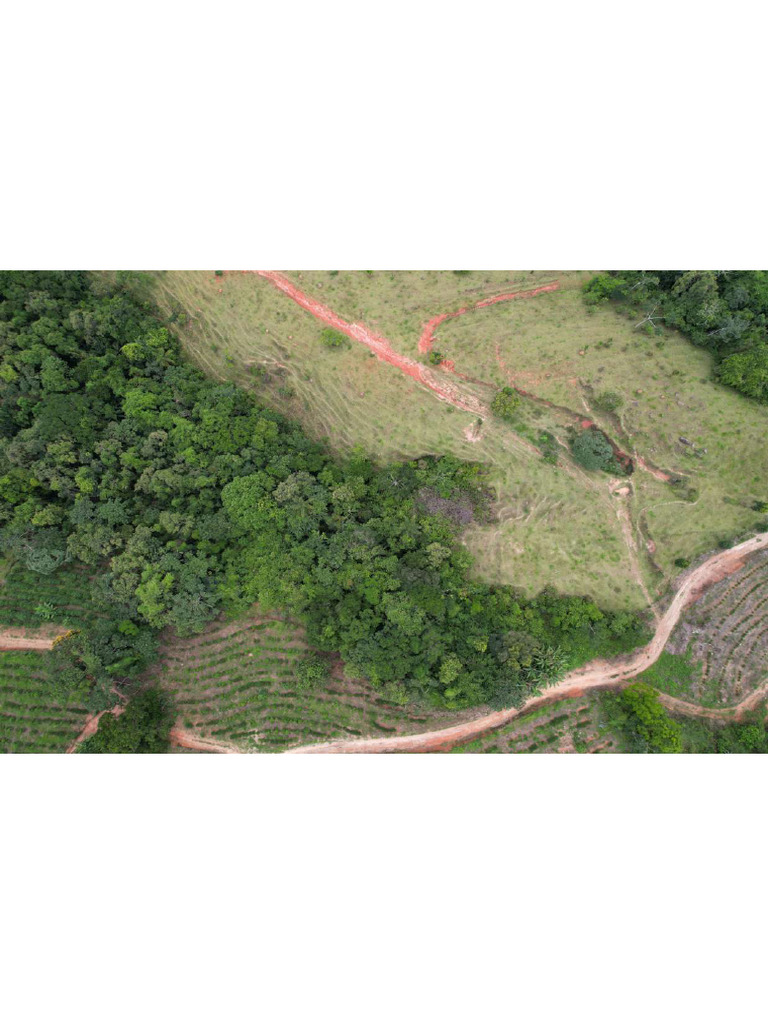 Dji 0789 | PDF