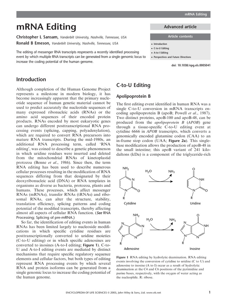Understanding mRNA Editing Mechanisms | PDF | Rna | Messenger Rna