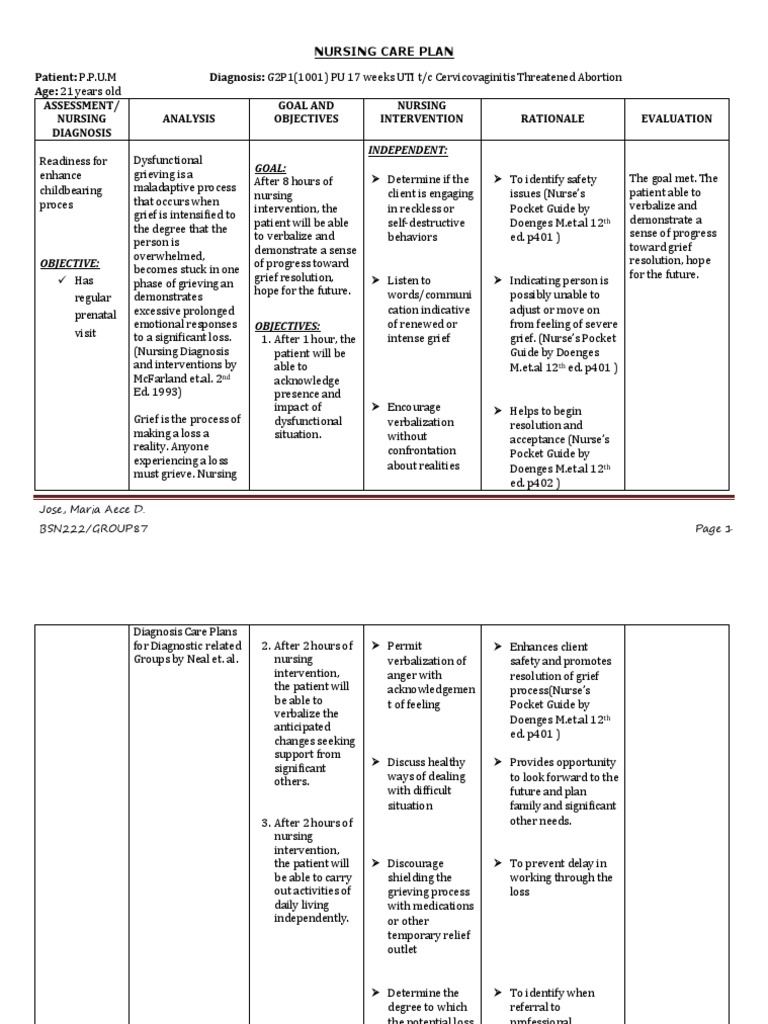 Ncp Grieving Grief Nursing